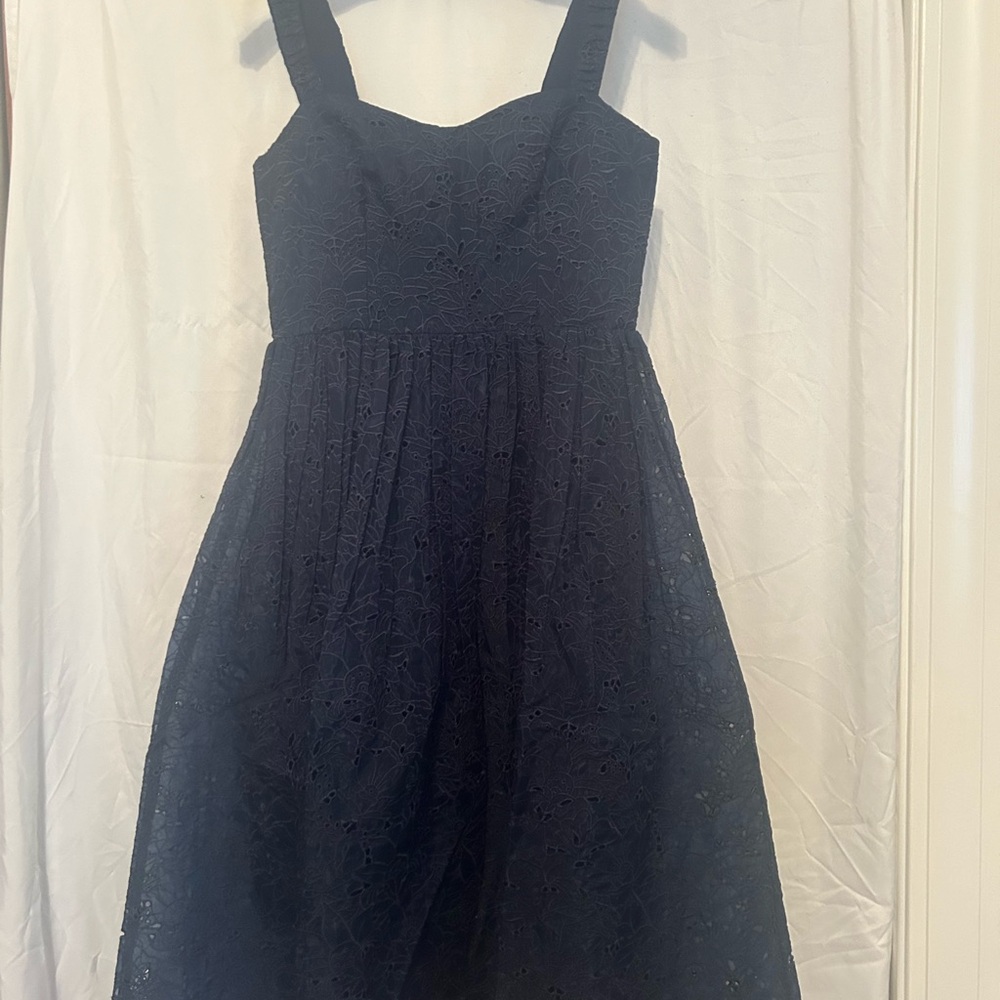Embroidered lace French Connection dress.